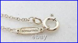 Tiffany & Co. Oval Black Titanium Key Pendant 16 Silver Chain Necklace withBox